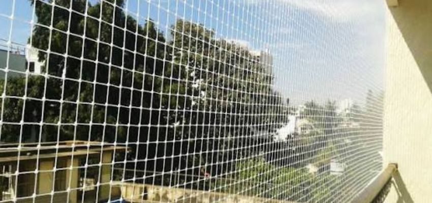 Coconut Tree Safety Nets